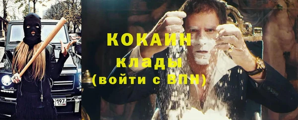 трава Арсеньев