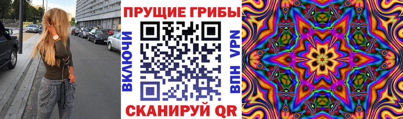 наркотики Углич блэк спрут Галлюциногенные грибы Cubensis
